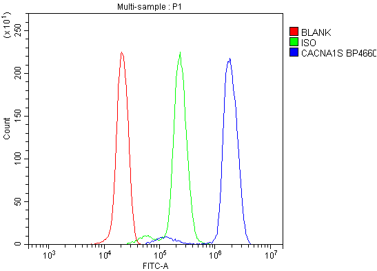 a03006 1 cacna1s primary antibodies fcm testing 4