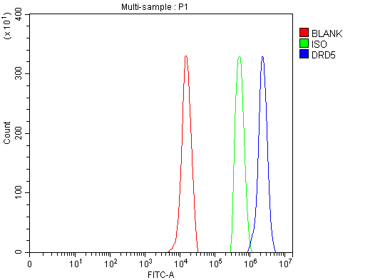  Flow Cytometry analysis of U937 cells using anti-DRD5 antibody (A03010-1)