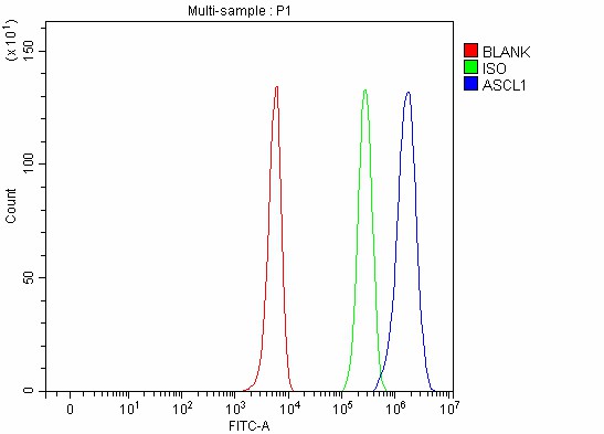 a03023 2 ascl1 primary antibodies fcm testing 3