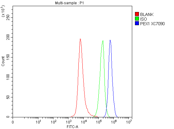 a03025 1 pex1 primary antibodies fcm testing 1
