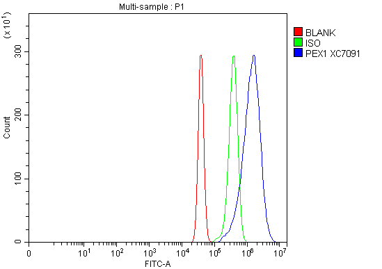 Flow Cytometry analysis of Neuro-2a cells using anti-PEX1 antibody (A03025-2)