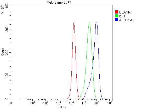 a03030 aldh1a3 primary antibodies fcm testing 1
