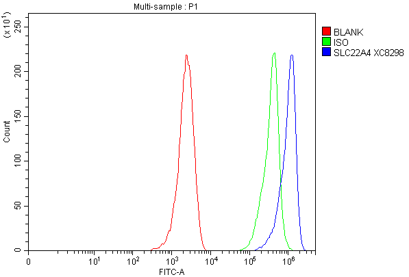 Flow Cytometry analysis of MCF-7 cells using anti-SLC22A4 antibody (A03032-1)