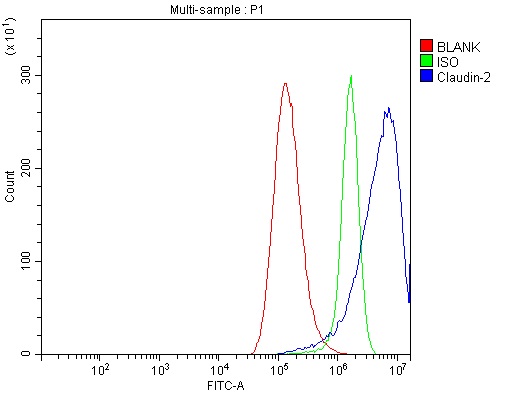  Flow Cytometry analysis of A549 cells using anti-Claudin 2/CLDN2 antibody (A03033-1)