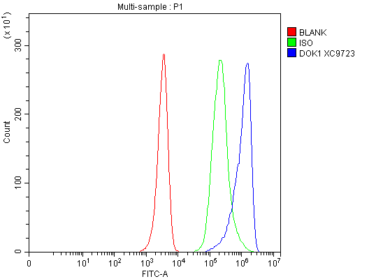 a03039 3 dok1 primary antibodies fcm testing 1