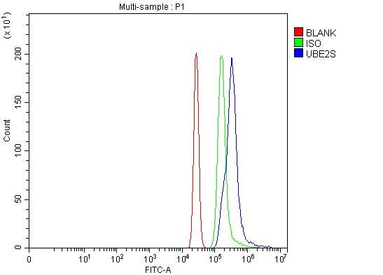  Flow Cytometry analysis of HL-60 cells using anti-UBE2S antibody (A03045-2)
