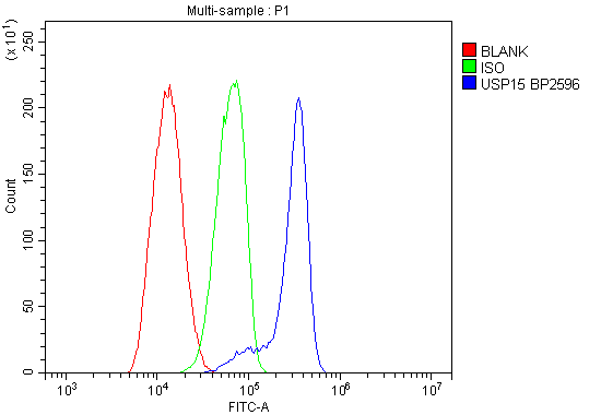 a03057 1 usp15 primary antibodies fcm testing 3