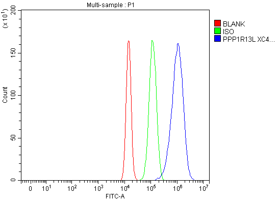  Flow Cytometry analysis of U20S cells using anti-iASPP/PPP1R13L antibody (A03058-2)