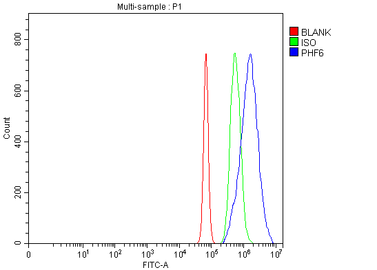 a03065 1 phf6 primary antibodies fcm testing 16