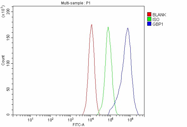 a03067 1 gbp1 primary antibodies fcm testing 7