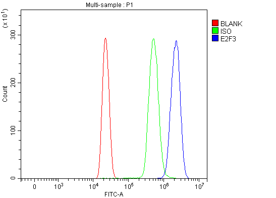  Flow Cytometry analysis of HL-60 cells using anti-E2F3 antibody (A03068-4)