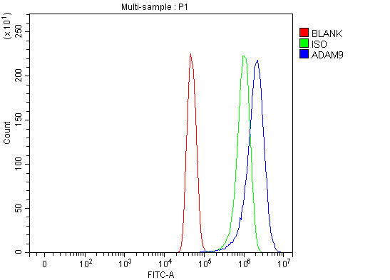  Flow Cytometry analysis of U251 cells using anti-ADAM9 antibody (A03074-2)