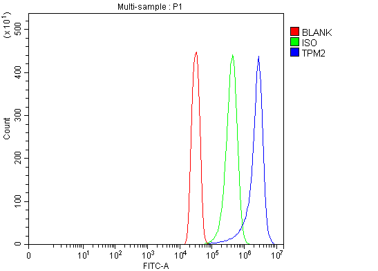 a03082 1 tpm2 primary antibodies fcm testing 6