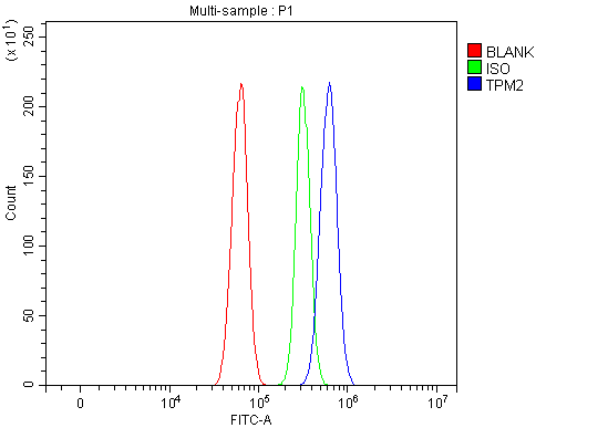 a03082 1 tpm2 primary antibodies fcm testing 8