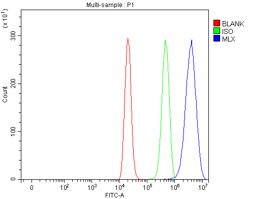  Flow Cytometry analysis of THP-1 cells using anti-MLX antibody (A03087-2)