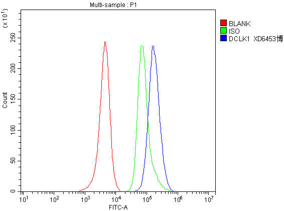 a03089 1 dclk1 primary antibodies fcm testing 1