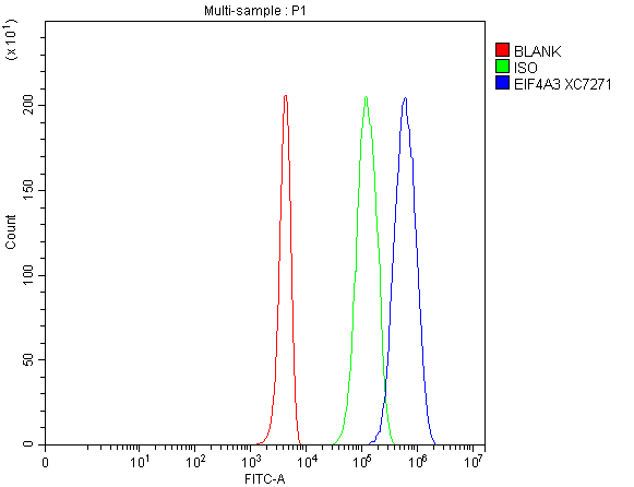 a03095 2 eif4a3 primary antibodies fcm testing 1