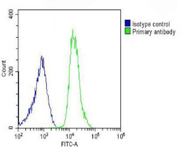 a03098 1 anti prex1 antibody c term fc testing 5