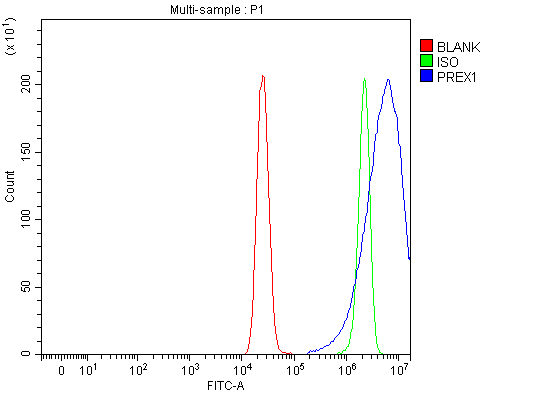a03098 2 prex1 primary antibodies fcm testing 2