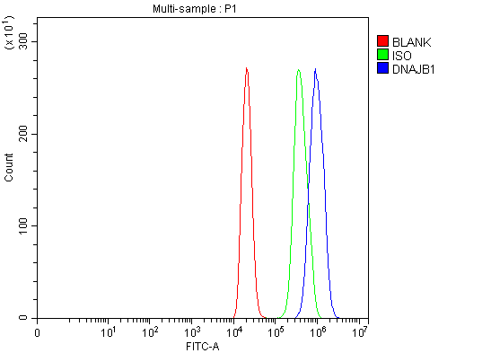 a03100 1 dnajb1 primary antibodies fcm testing 4