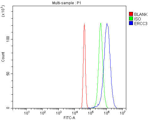 a03103 2 ercc3 primary antibodies fcm testing 2