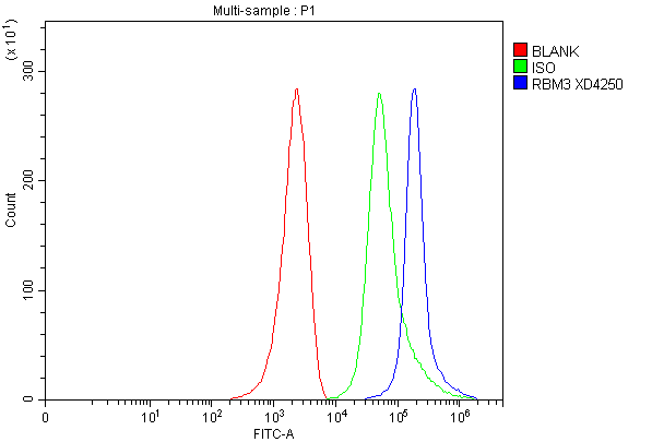 Flow Cytometry analysis of MCF-7 cells using anti-RBM3 antibody (A03104-2)