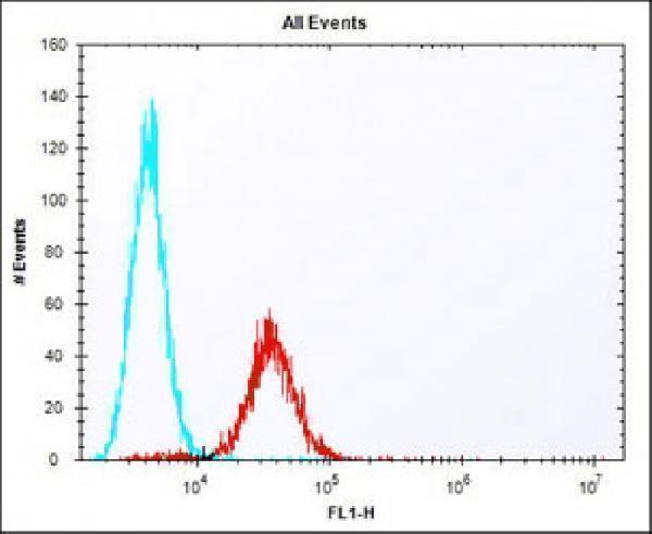 a03105 anti mouse tdgf1 antibody n term fc testing 2
