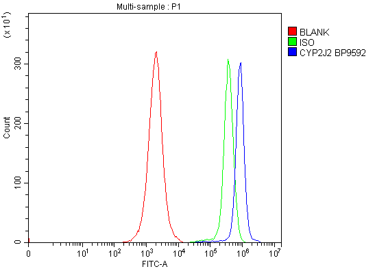Flow Cytometry analysis of Jurkat cells using anti-CYP2J2 antibody (A03128-2)