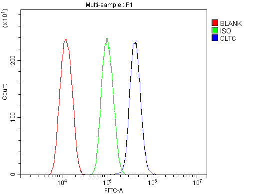 a03134 1 cltc primary antibodies fcm testing 7