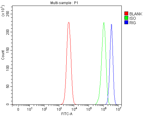  Flow Cytometry analysis of SH-SY5Y cells using anti-DKK3/RIG antibody (A03140)