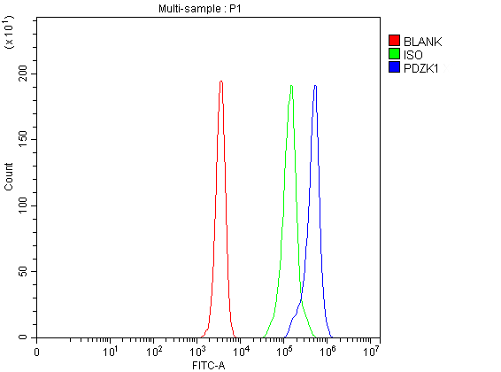 Flow Cytometry analysis of RM-1 cells using anti-PDZK1 antibody (A03176-1)