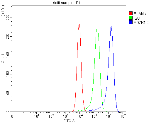 a03176 1 pdzk1 primary antibodies fcm testing 2