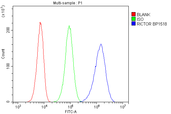 a03195 1 rictor primary antibodies fc testing 5