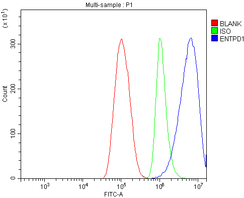 a03196 3 entpd1 primary antibodies fcm testing 8_1