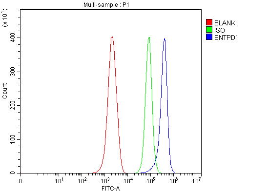  Flow Cytometry analysis of ANA-1 cells using anti-CD39/Entpd1 antibody (A03196-4)