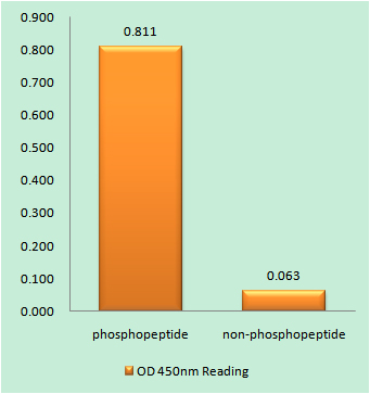 a03202s95 kif2c primary antibodies elisa testing 1