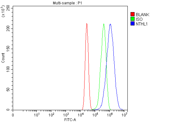 Flow Cytometry analysis of MCF-7 cells using anti-NTHL1 antibody (A03207-2)