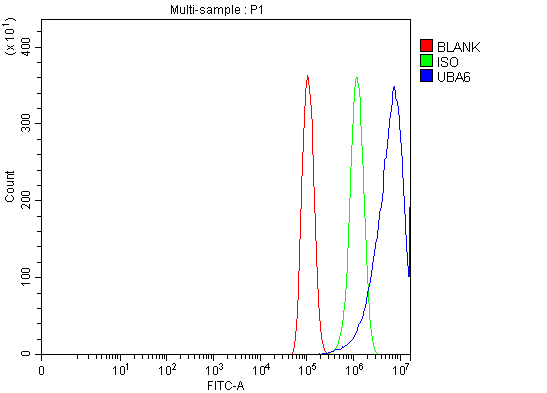 a03213 2 uba6 primary antibodies fcm testing 5