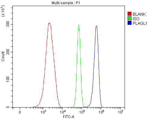  Flow Cytometry analysis of ANA-1 cells using anti-ZAC/Plagl1 antibody (A03220-2)