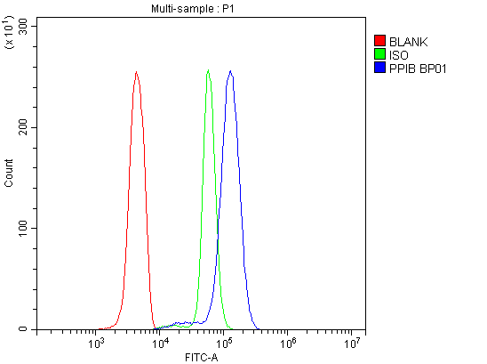 a03229 cyclophilin_b primary antibodies fcm testing 8