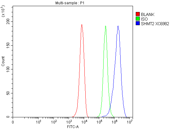 a03233 1 shmt2 primary antibodies fcm testing 1