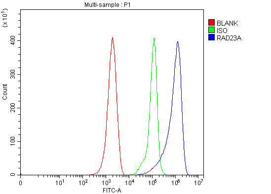  Flow Cytometry analysis of ANA-1 cells using anti-HHR23A/RAD23A antibody (A03243-3)