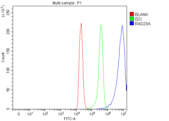  Flow Cytometry analysis of C6 cells using anti-HHR23A/RAD23A antibody (A03243-3)