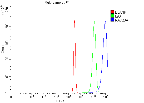 a03243 3 rad23a primary antibodies fcm testing 4