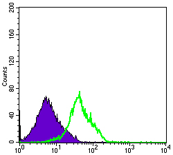 Flow cytometric analysis of RAJI cells using CD94 Monoclonal Antibody (green) and negative control (purple)