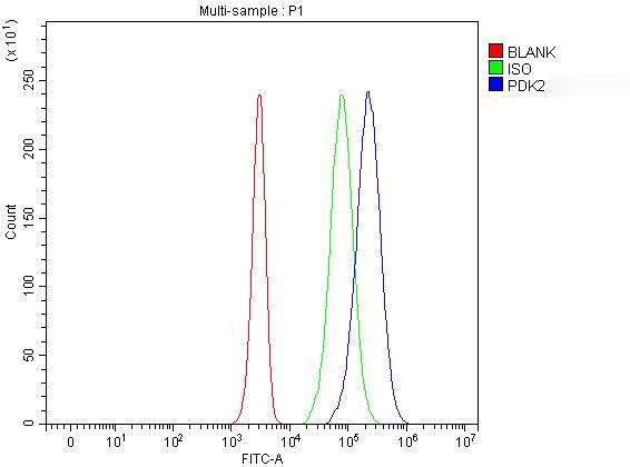 a03261 pdk2 primary antibodies fcm testing 1