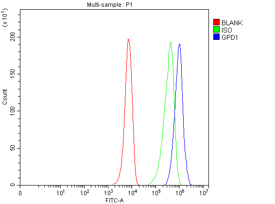  Flow Cytometry analysis of HepG2 cells using anti-GPD1 antibody (A03262-1)