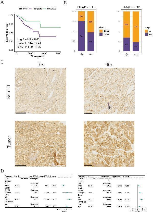 a03264 fimmu 15 1454730 g007