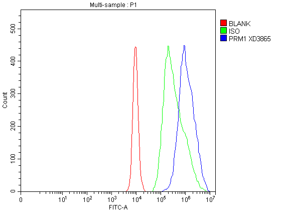 Flow Cytometry analysis of Caco-2 cells using anti-PRM1 antibody (A03274)