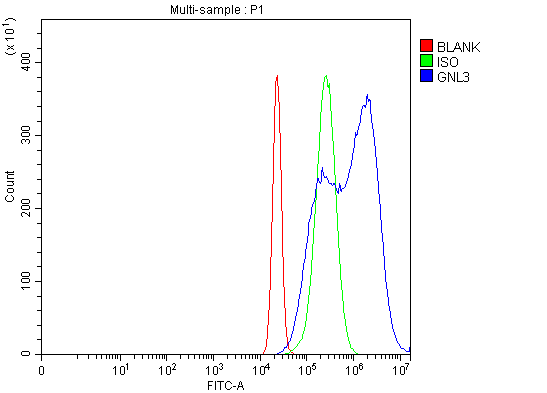a03283 3 gnl3 primary antibodies fcm testing 7